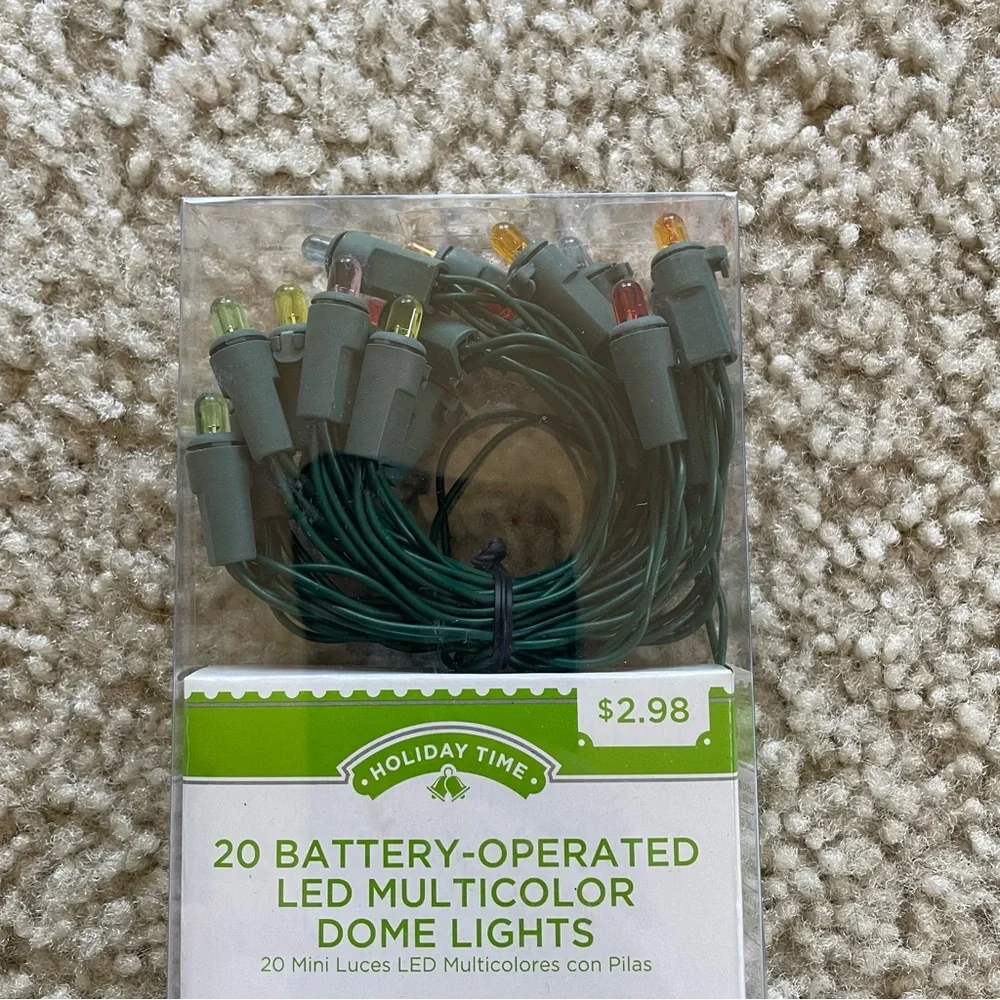 Holiday Time LED Multicolor Dome Lights